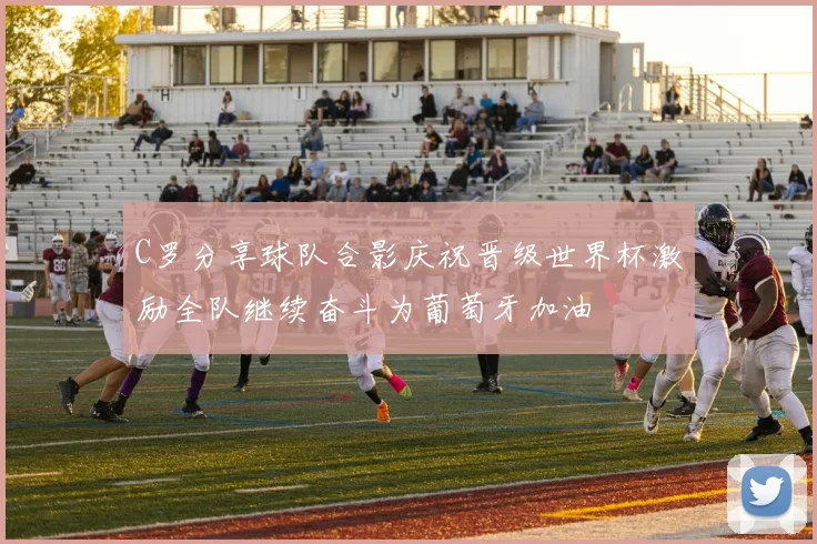 C罗分享球队合影庆祝晋级世界杯激励全队继续奋斗为葡萄牙加油