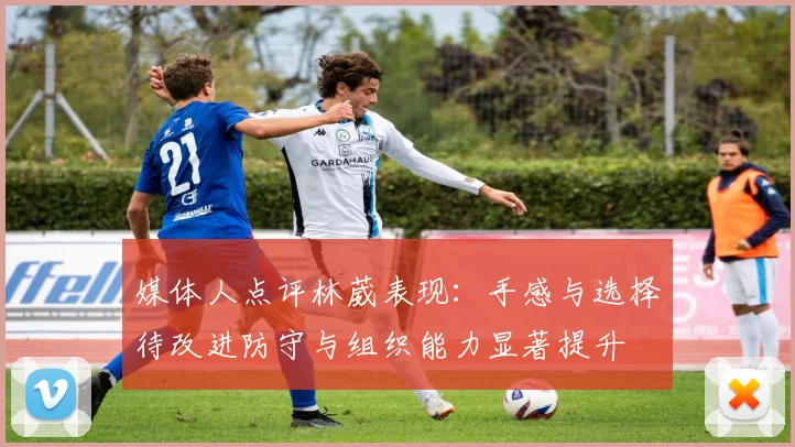 媒体人点评林葳表现：手感与选择待改进防守与组织能力显著提升